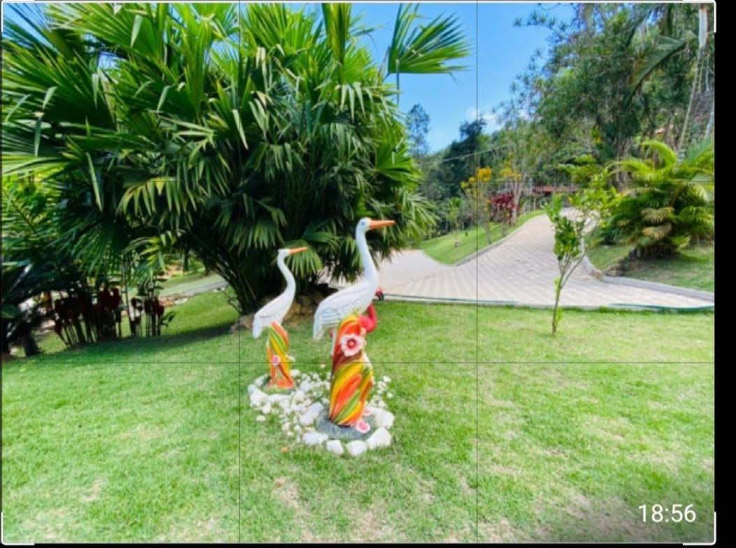 Lindo Sitio Em Domingos Martins Villa ภายนอก รูปภาพ