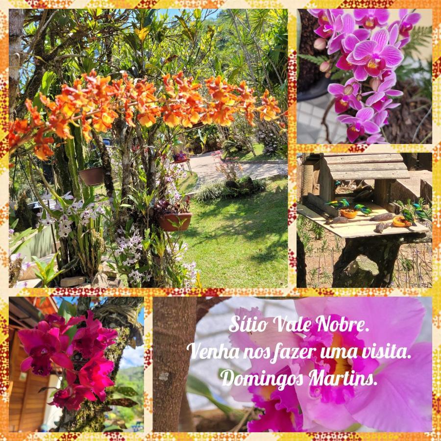 Lindo Sitio Em Domingos Martins Villa ภายนอก รูปภาพ